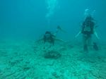 Hawaii Scuba divng 35