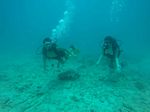 Hawaii Scuba divng 36