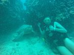 Hawaii Scuba divng 41