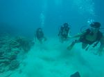 Hawaii Scuba divng 43