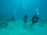 Hawaii Scuba divng 44