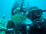 Hawaii Scuba divng 52