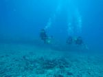 Hawaii Scuba divng 56