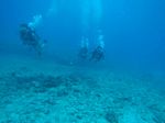 Hawaii Scuba divng 57