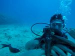 Hawaii Scuba divng 62