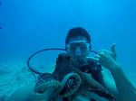 Hawaii Scuba divng 63