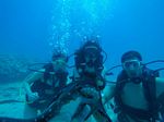 Hawaii Scuba divng 64