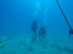 Hawaii Scuba divng 69