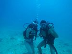 Hawaii Scuba divng 75