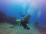 Hawaii Scuba divng 10