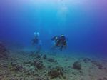 Hawaii Scuba divng 01