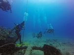 Hawaii Scuba divng 22