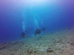 Hawaii Scuba divng 23