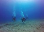 Hawaii Scuba divng 24