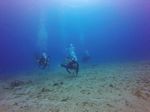 Hawaii Scuba divng 25