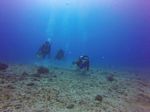 Hawaii Scuba divng 26