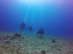 Hawaii Scuba divng 27