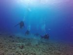 Hawaii Scuba divng 29