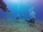 Hawaii Scuba divng 30