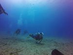 Hawaii Scuba divng 31