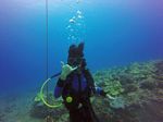 Hawaii Scuba divng 33