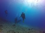 Hawaii Scuba divng 34