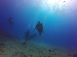 Hawaii Scuba divng 34