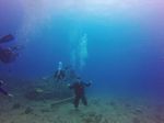 Hawaii Scuba divng 35