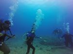 Hawaii Scuba divng 36