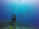 Hawaii Scuba divng 37