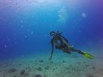 Hawaii Scuba divng 39