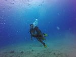 Hawaii Scuba divng 40