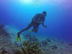 Hawaii Scuba divng 41