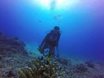 Hawaii Scuba divng 42