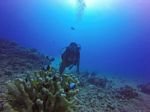 Hawaii Scuba divng 43