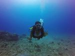 Hawaii Scuba divng 45