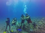 Hawaii Scuba divng 51