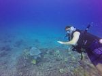 Hawaii Scuba divng 52