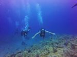 Hawaii Scuba divng 57