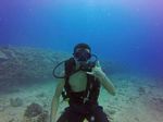 Hawaii Scuba divng 66