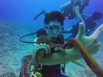 Hawaii Scuba divng 69