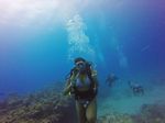 Hawaii Scuba divng 06