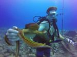 Hawaii Scuba divng 71