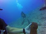 Hawaii Scuba divng 74