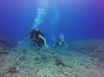 Hawaii Scuba divng 75