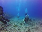 Hawaii Scuba divng 76