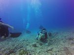 Hawaii Scuba divng 78