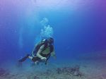 Hawaii Scuba divng 79