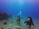 Hawaii Scuba divng 80