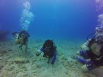 Hawaii Scuba divng 81